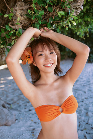 鸿运28截图