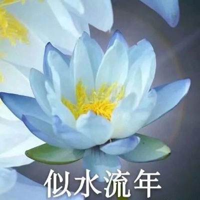 国彩app截图