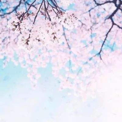 如意彩,用户注册截图
