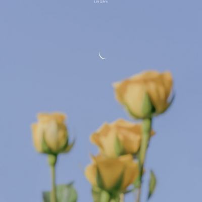 九游app正版下载