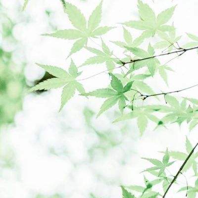 彩神viii谁与谁争锋