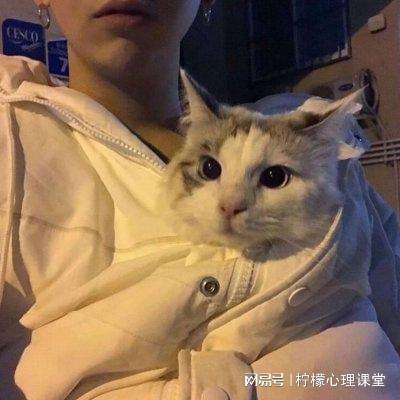 快盈彩