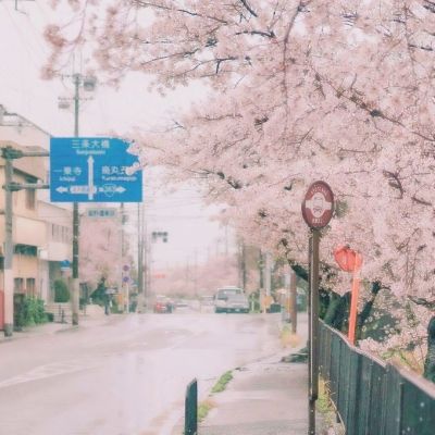 众乐乐心跳转接口