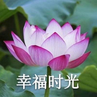 腾讯分分彩app官网截图