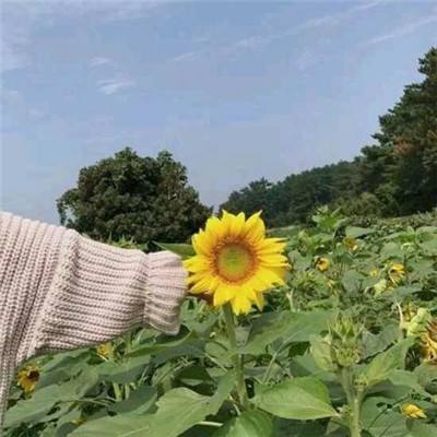 welcome金彩汇截图