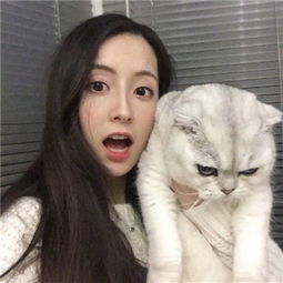 大发赚钱导师在线一对一