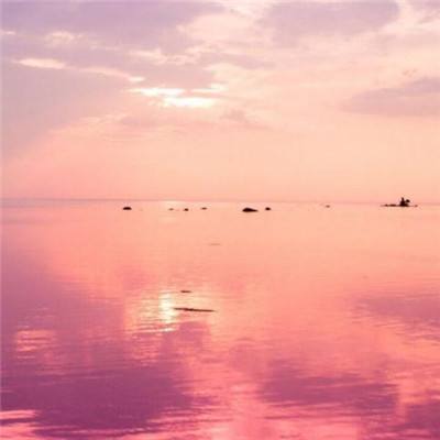 太阳2官方下载