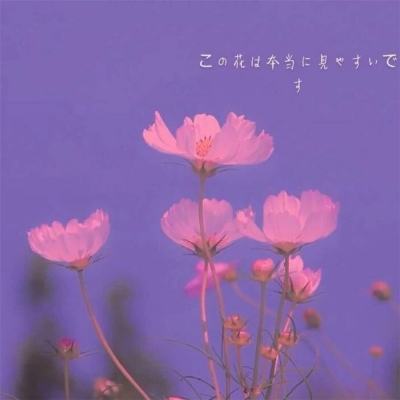 乐彩汇,welcome