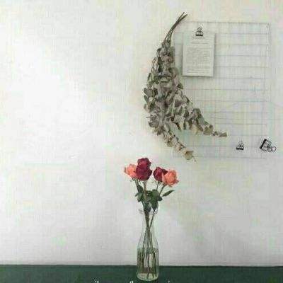 ky开元集团99ky下载截图