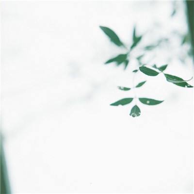 网信平台