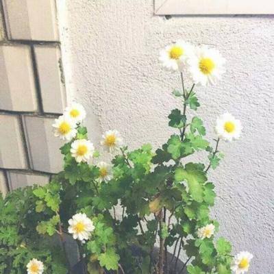 哈希值竞猜截图