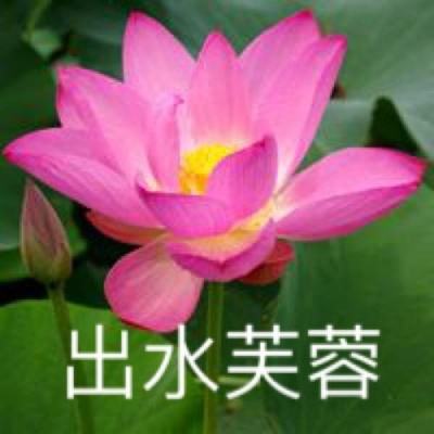 大发彩票app官方