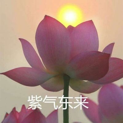 博亚彩票截图