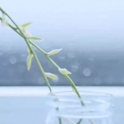 大发app手机版下载截图