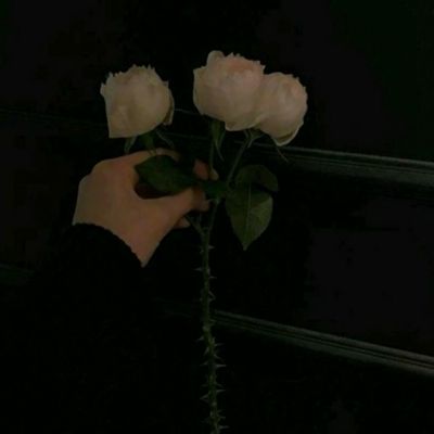 大发app手机版下载